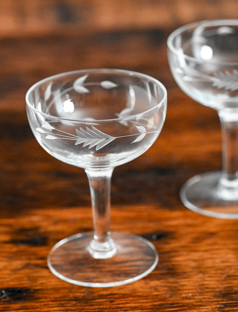 Sevron Moonglow floral etched cocktail coupes