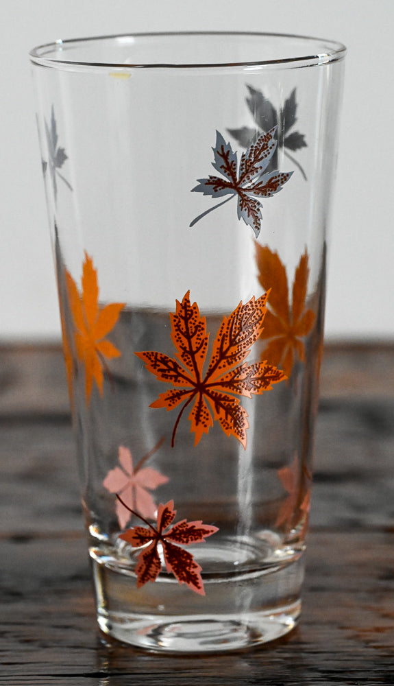 Federal autumn leaves in orange, pink and gray highball glass