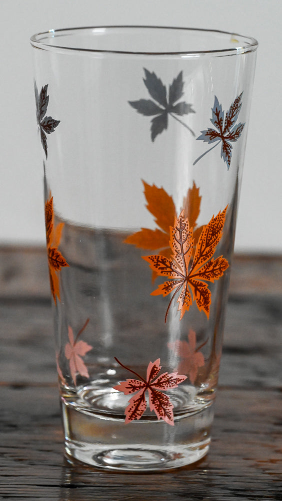 Federal autumn leaves in orange, pink and gray highball glass