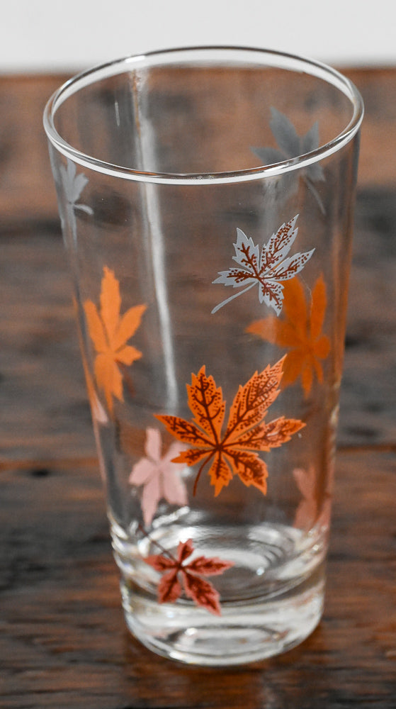 Federal autumn leaves in orange, pink and gray highball glass