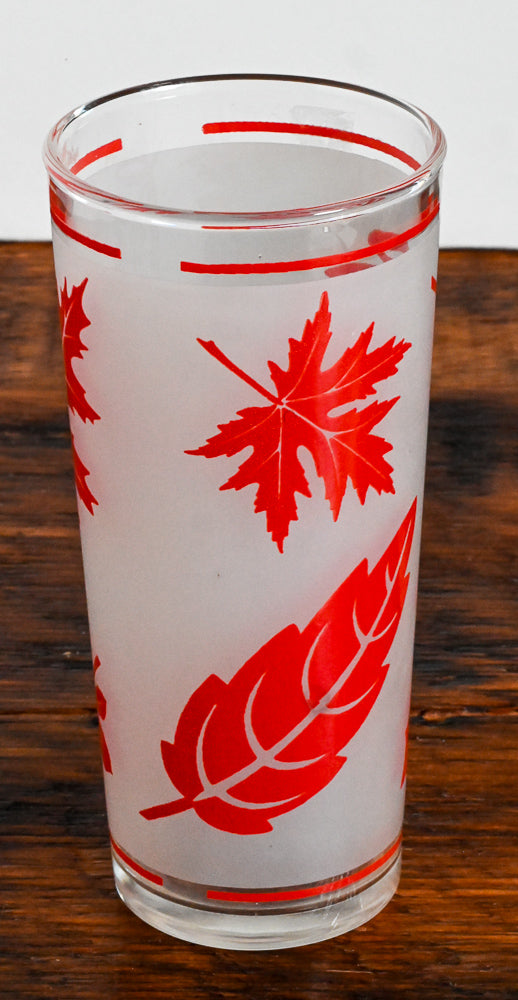 red leaf and frosted highball glass