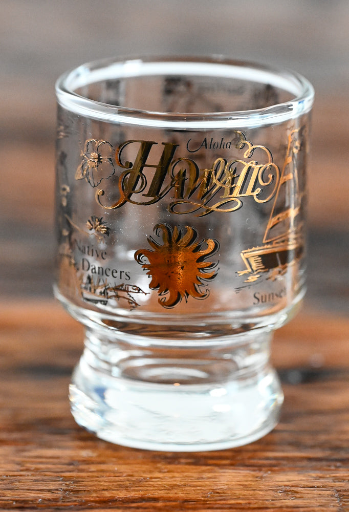 hawaii black and gold print shot glass
