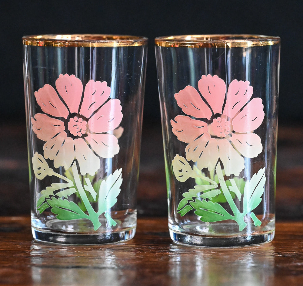 pink and peach cosmos Federal Glass juice glasses