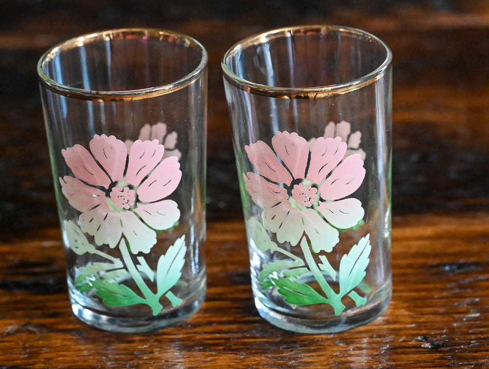 pink and peach cosmos Federal Glass juice glasses