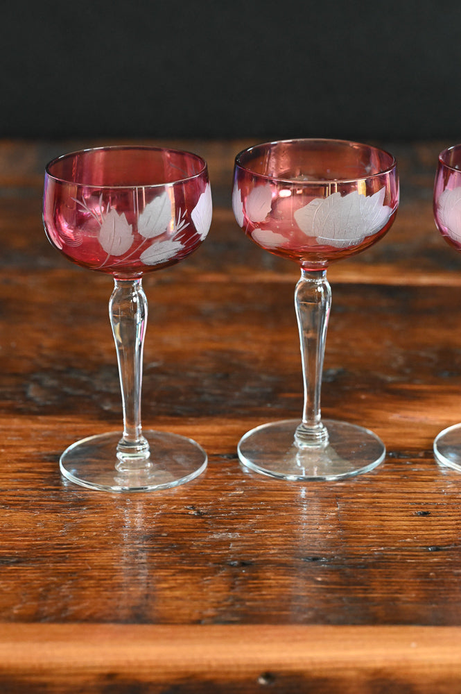 cranberry cocktail coupes with white frosted leaves