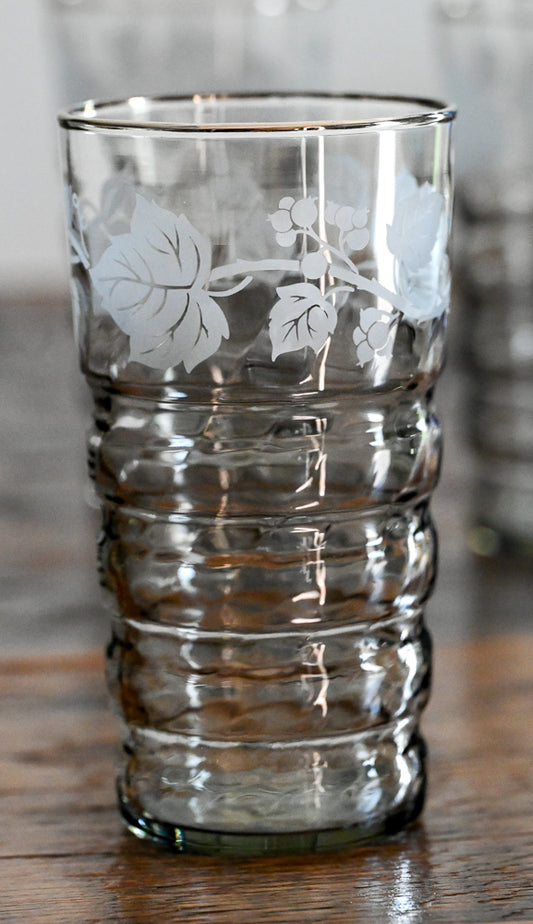 Libbey smoke gray tumblers with frosted leaves and silver rim