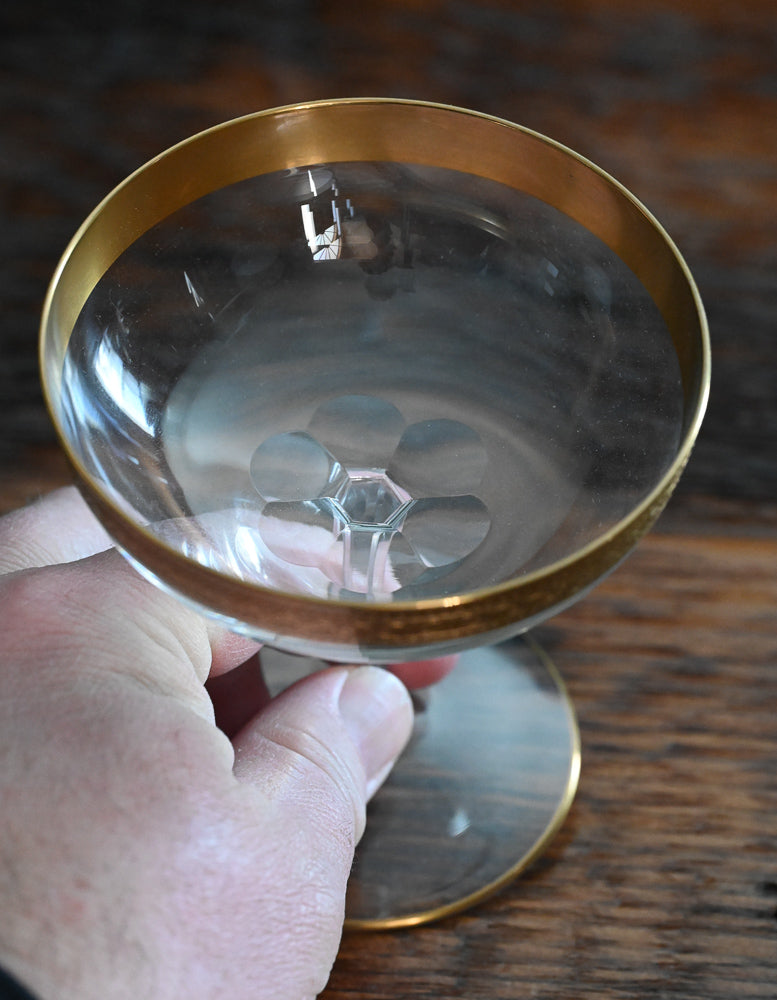gold rimmed cocktail coupes