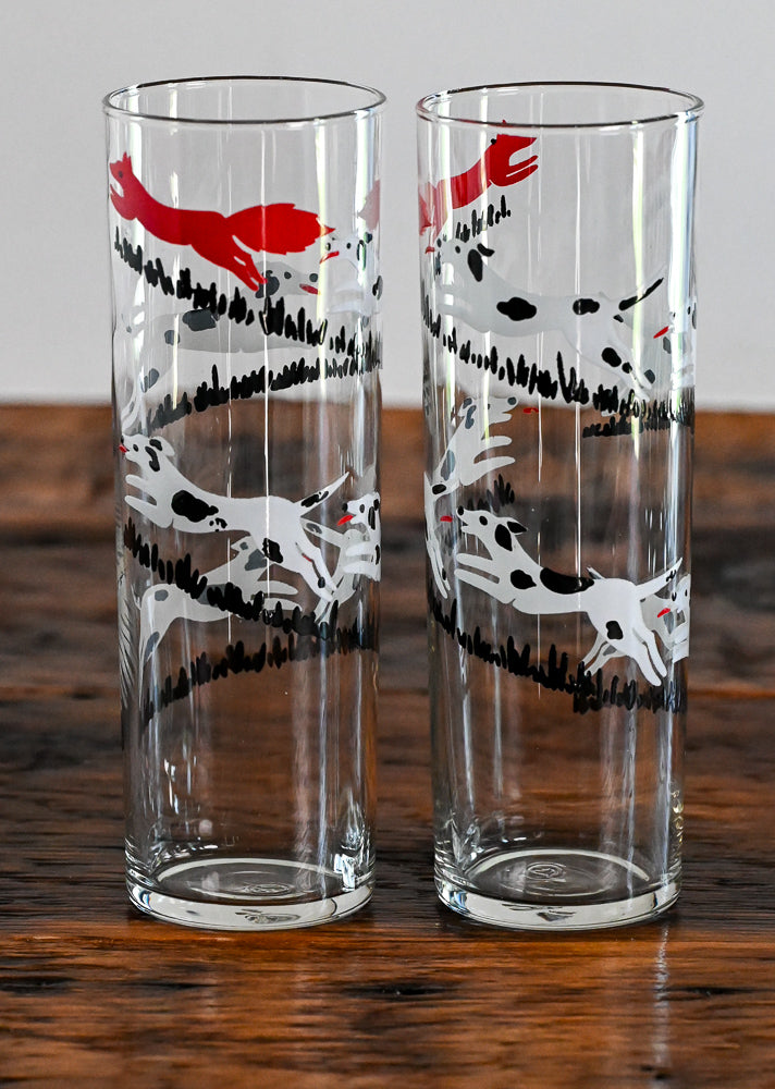 black and white dogs chasing a red fox collins glasses