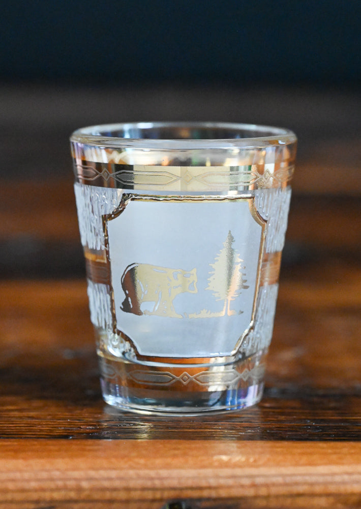 Great Smoky Mountains souvenir shot glass with gold and frosted accents