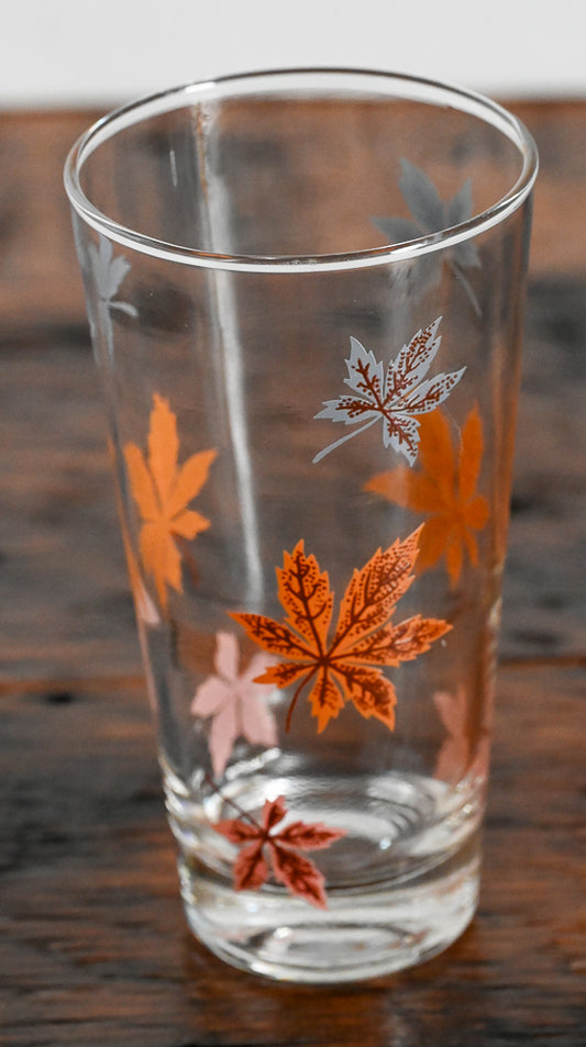 Federal autumn leaves in orange, pink and gray highball glass