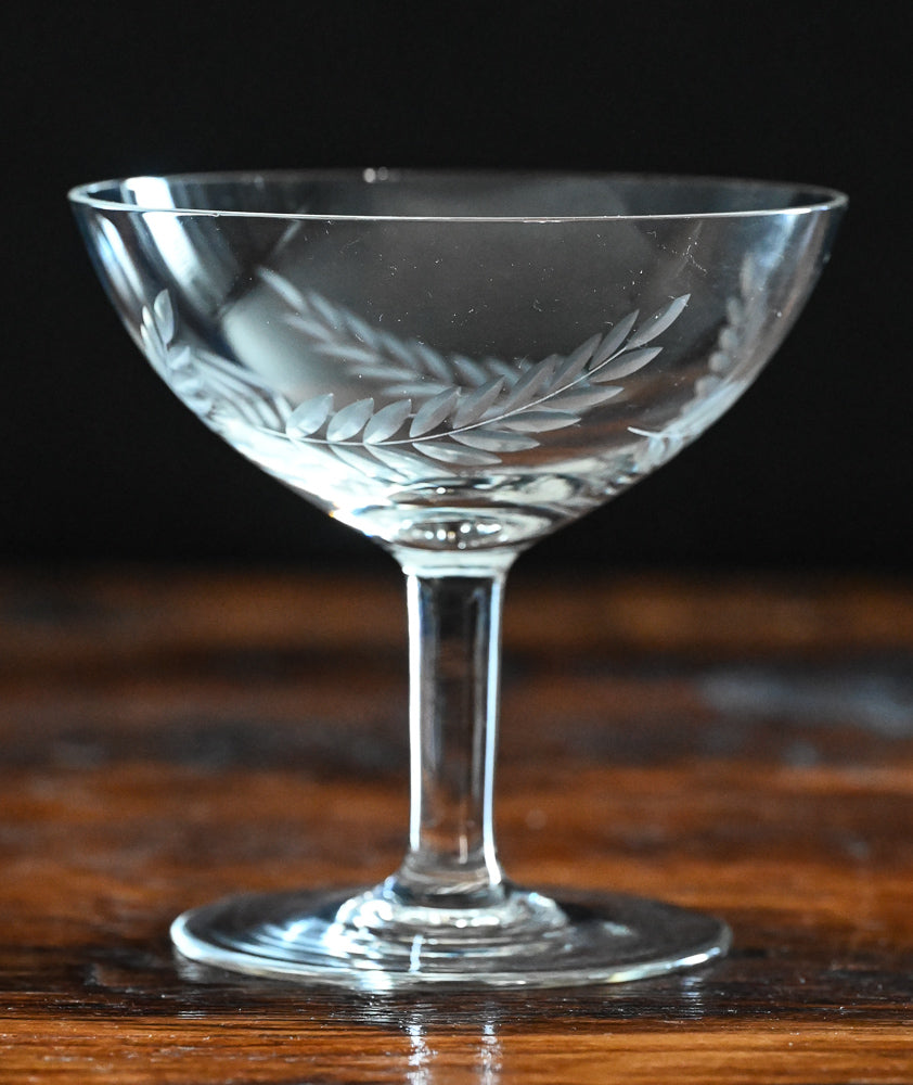 clear fern etched cocktail coupes