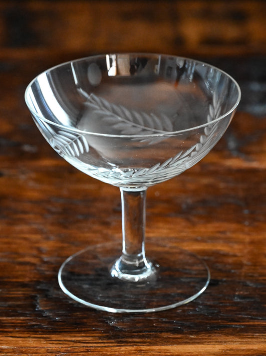 clear fern etched cocktail coupes