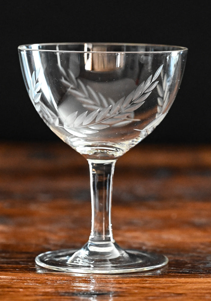 clear fern etched cocktail coupes