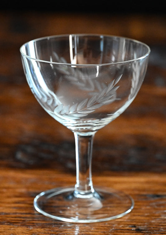 clear fern etched cocktail coupes