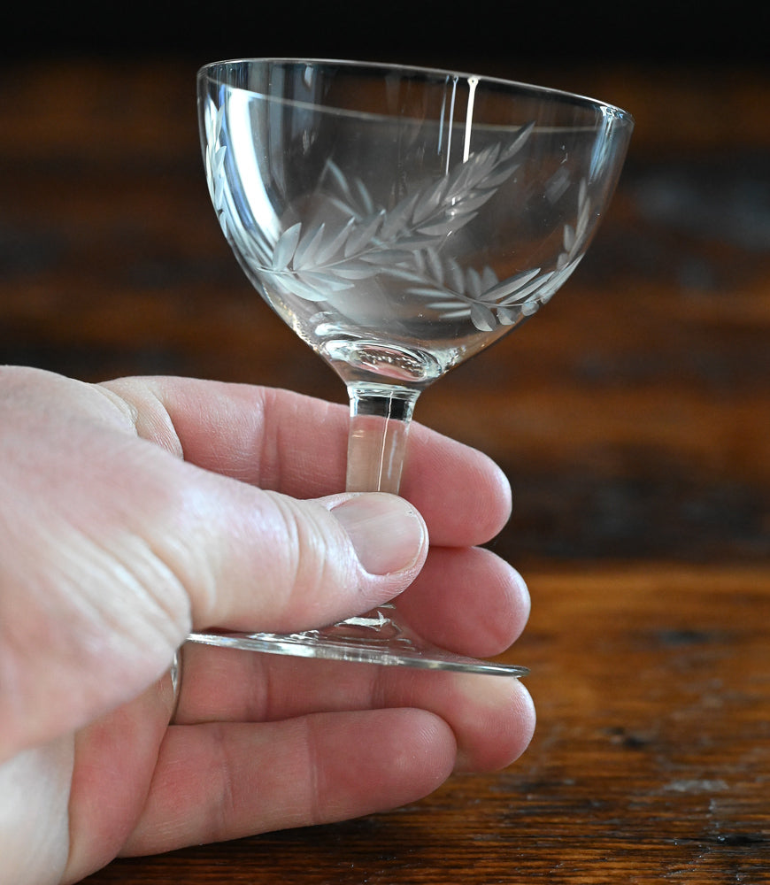 clear fern etched cocktail coupes