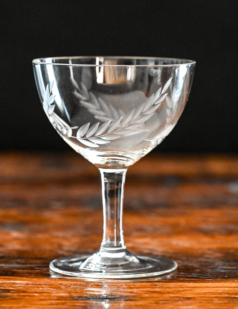 clear fern etched cocktail coupes