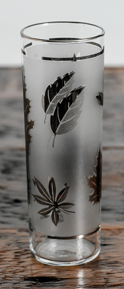 Libbey frosted collins glass with silver leaves and silver rim