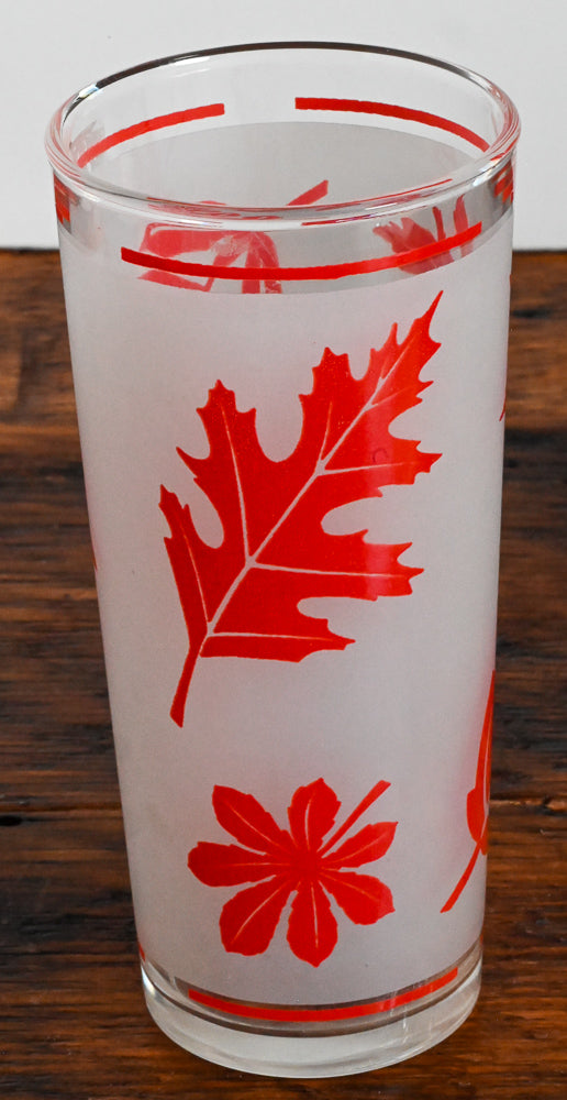 red leaf and frosted highball glass